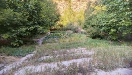 satılık hobi bahçesi